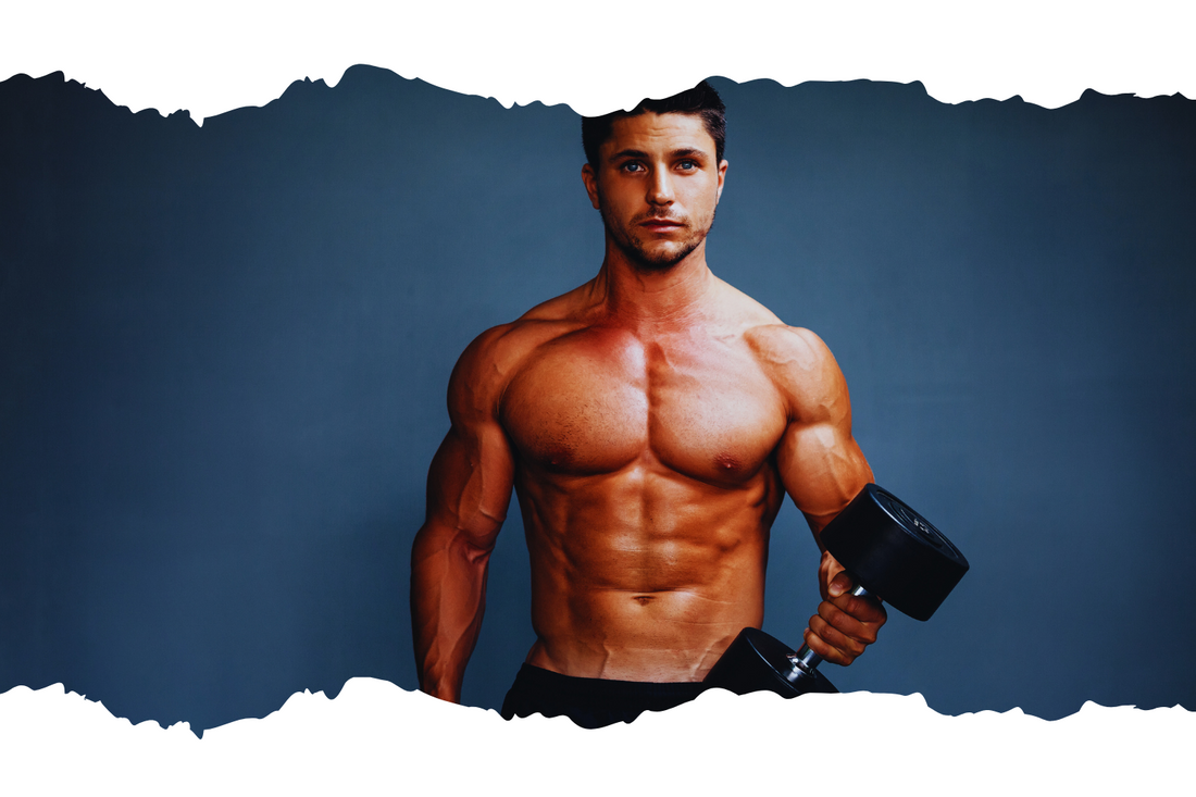 鶏むね肉 vs プロテイン より筋肉に良いのはどっちだ?!