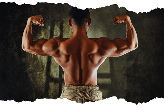 最近よく見かけるダイエット薬は筋トレと非常に相性が悪い件について解説