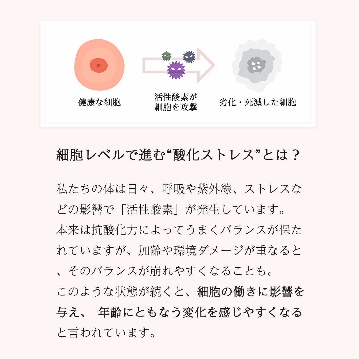 AMONMO WhiteC+ 60粒(グルタチオン含有酵母抽出物配合)