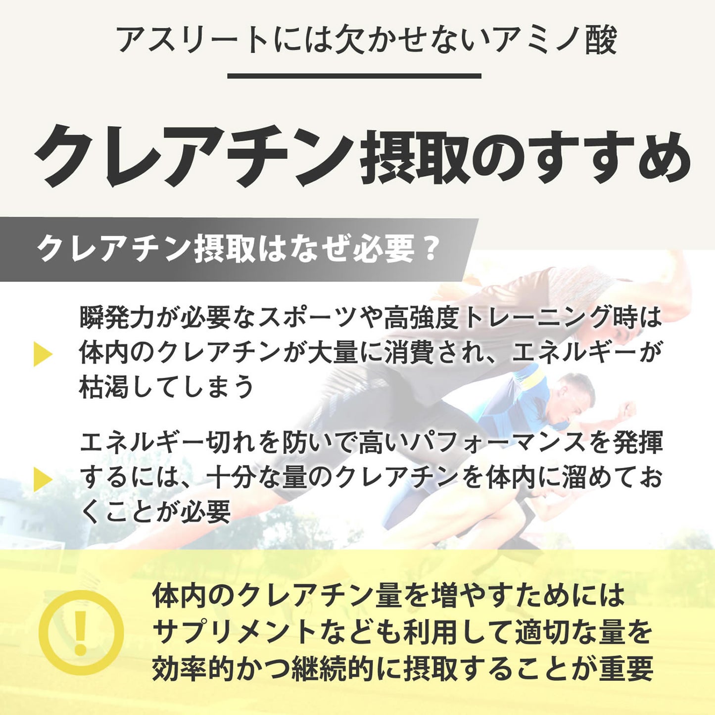 F&W クレアチンパウダー 1Kg(500g×2袋)