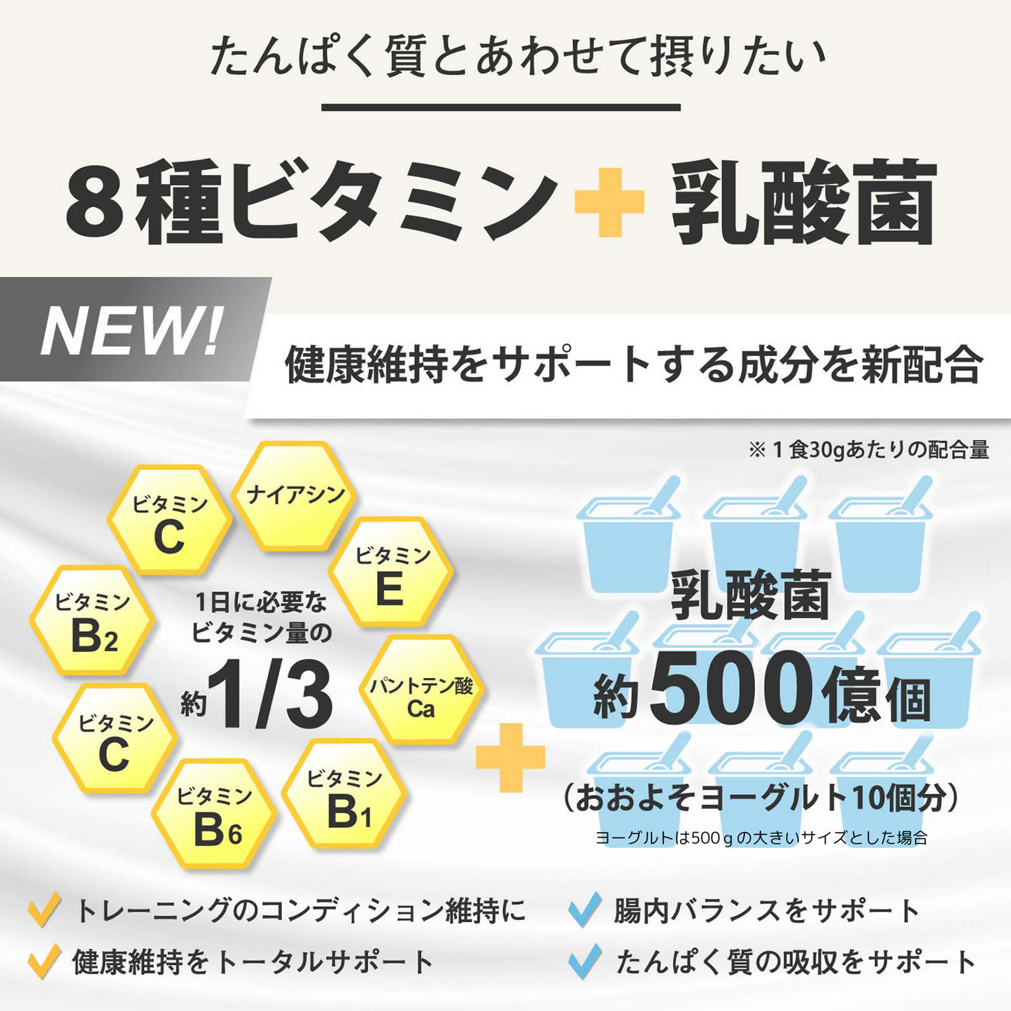 F&W WPC チョコレート風味600g