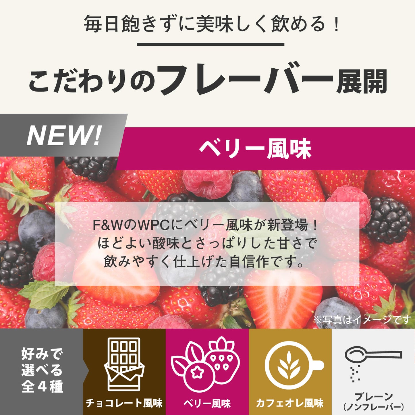 F&W WPC ベリー風味600g