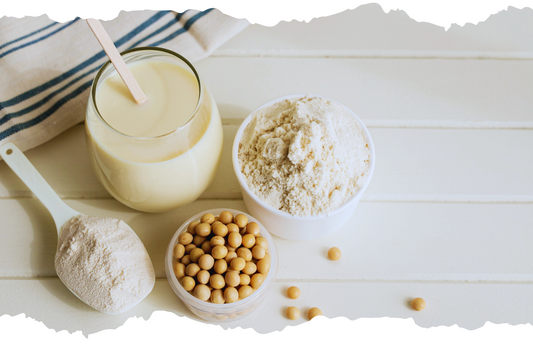 発酵の力で美白へ：酵母エキスの最新研究