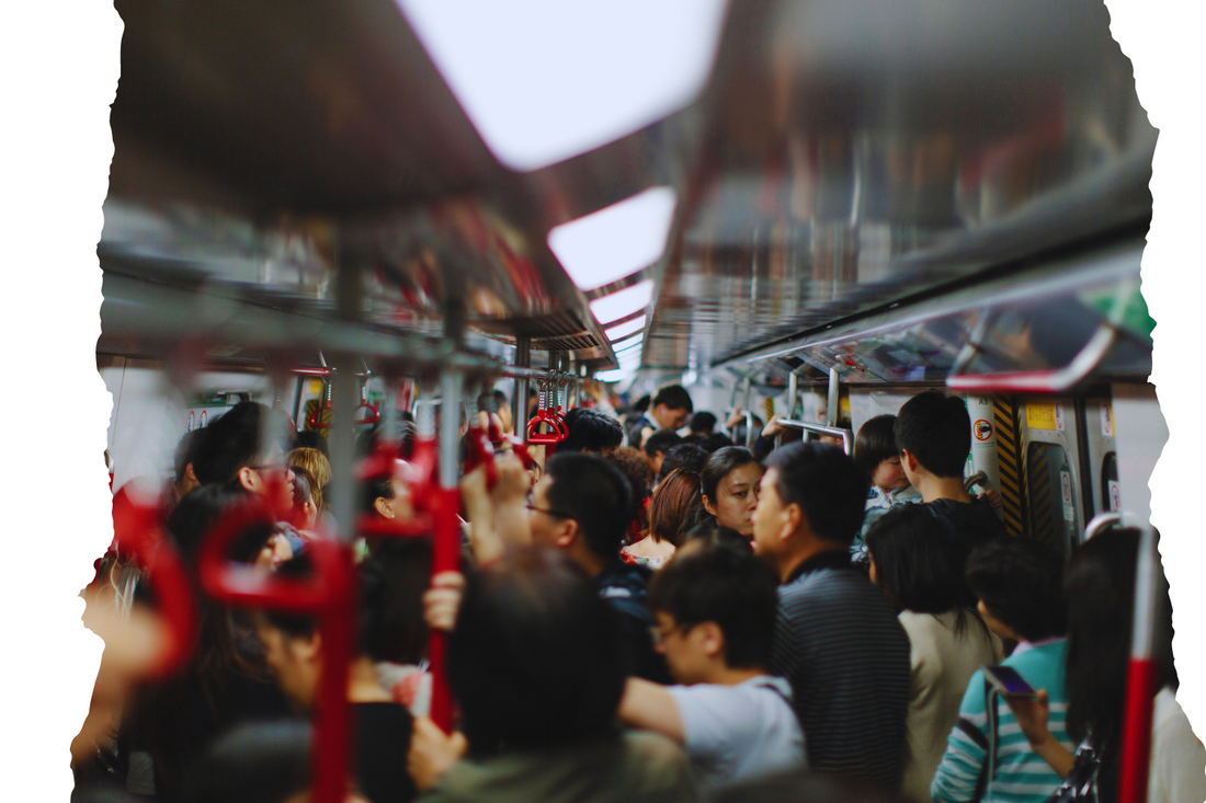 2025年冬の新常識―エラグ酸とアミノ酸で叶える健康的なダイエット