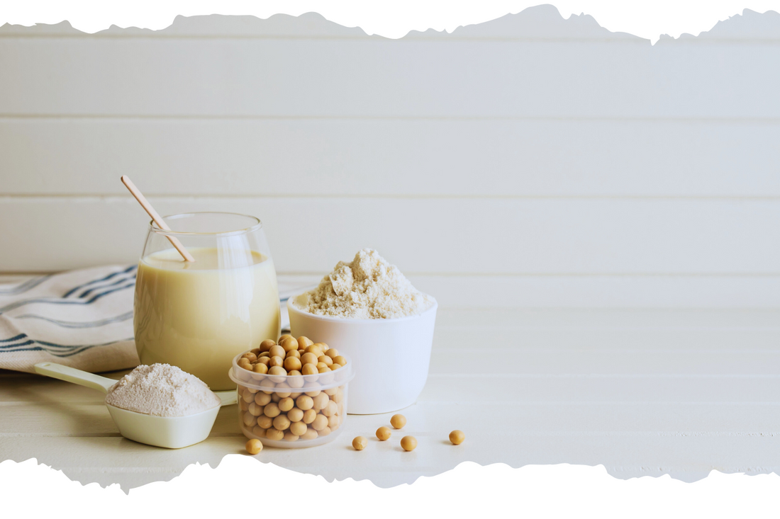 中性脂肪を抑えながら筋肉を守る｜アミノ酸×エラグ酸の賢いダイエット