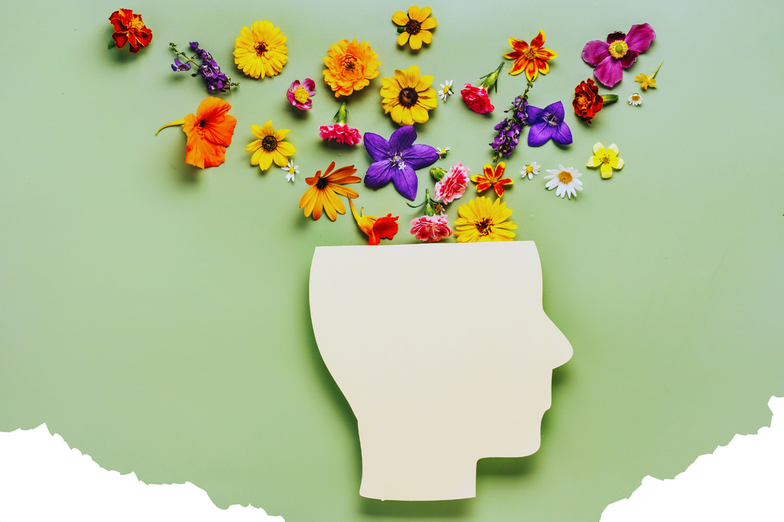 いつものコーヒーを置き換えるだけ｜エラグ酸で脂肪対策、アミノ酸で筋肉キープ