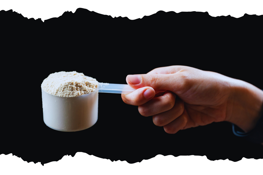 植物性プロテイン入門　動物性タンパクと比べて何が良いのか？