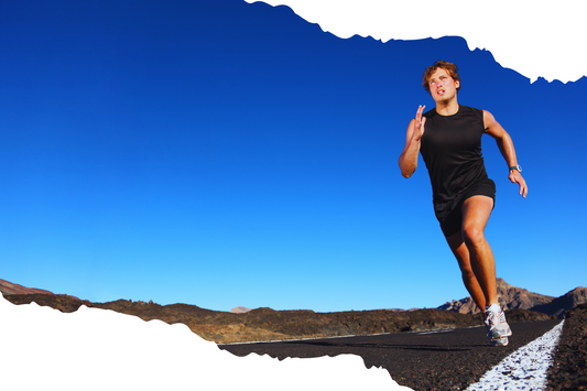 免疫力を守りながら体脂肪を減らす冬のダイエット戦略―エラグ酸とアミノ酸の力