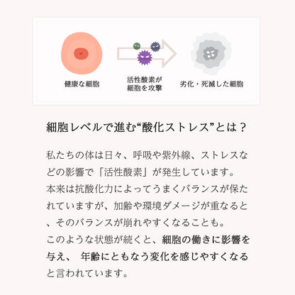 AMONMO WhiteC＋ 60粒（グルタチオン含有酵母抽出物配合）