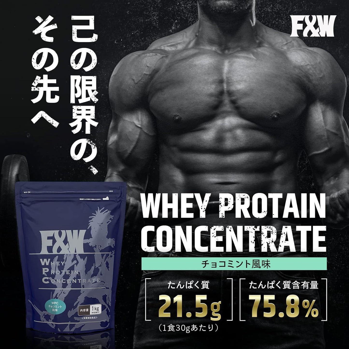 WPC チョコミント風味 1kg×4個セット