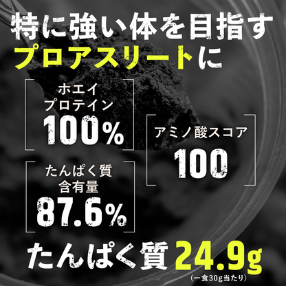 WPI チョコレート風味 900g