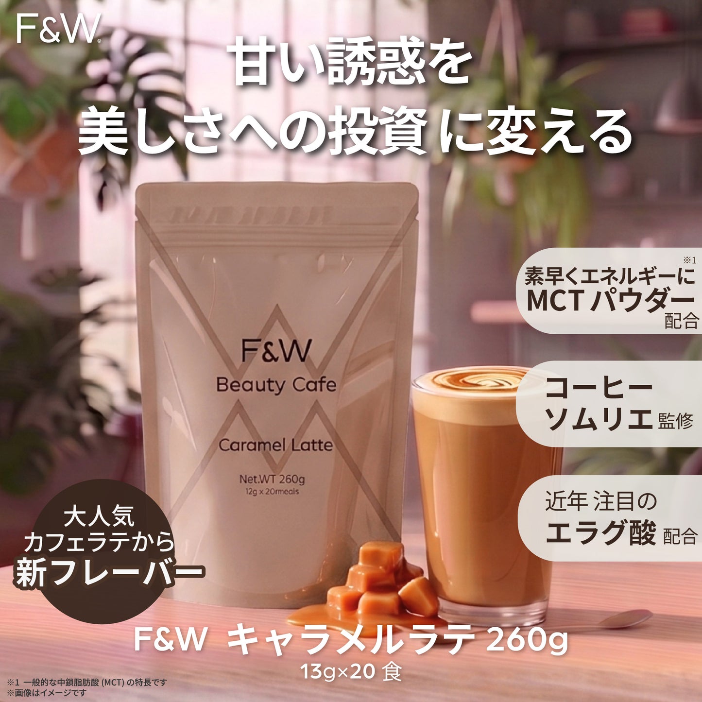 美容サポート成分 F&W キャラメルラテ 260g 約20食分 エラグ酸 MCTパウダー ヒアルロン酸 セラミド