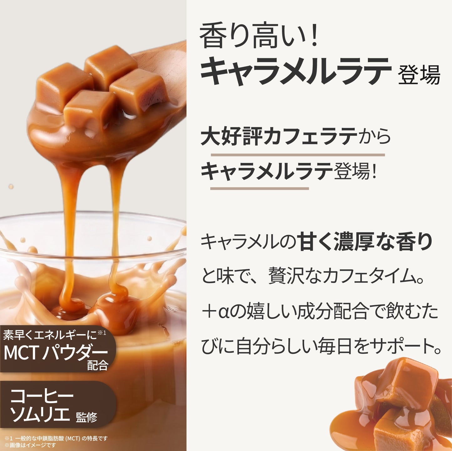 美容サポート成分 F&W キャラメルラテ 260g 約20食分 エラグ酸 MCTパウダー ヒアルロン酸 セラミド