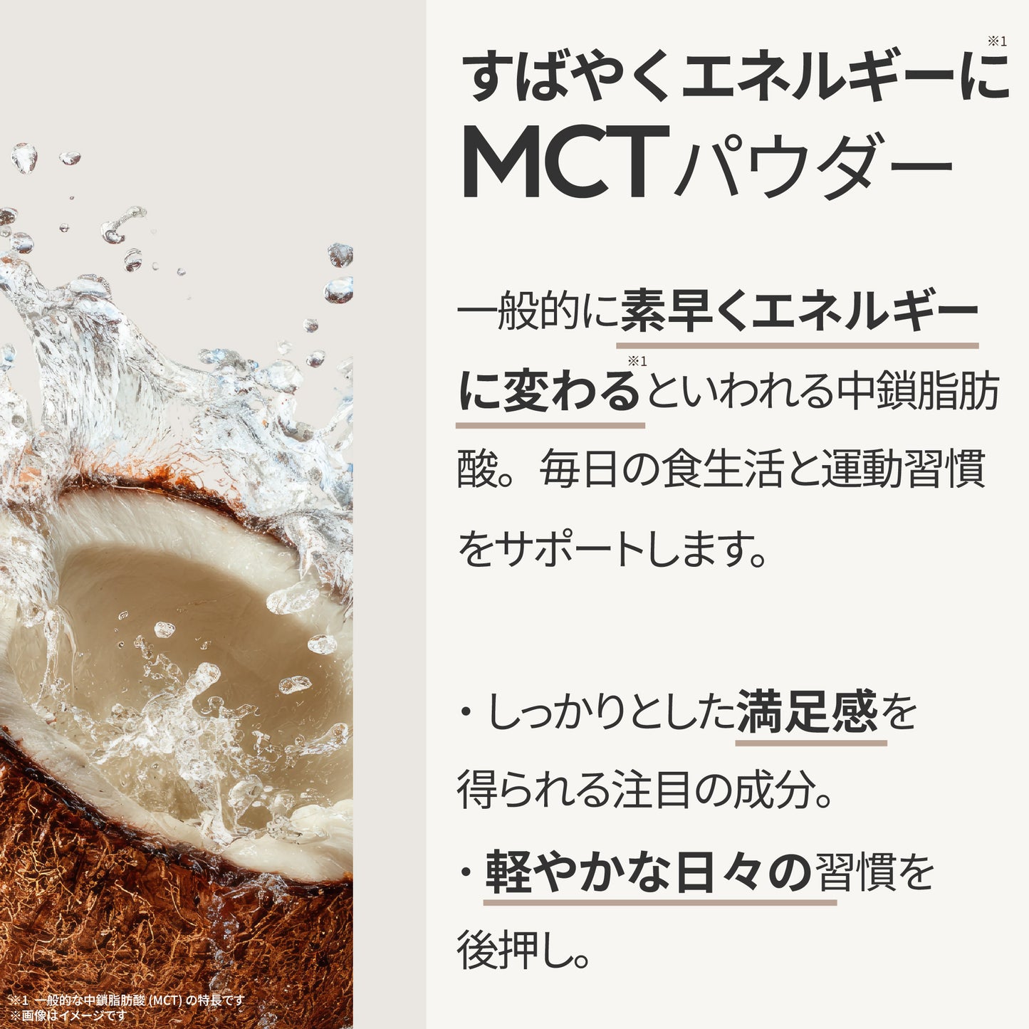 美容サポート成分 F&W キャラメルラテ 260g 約20食分 エラグ酸 MCTパウダー ヒアルロン酸 セラミド