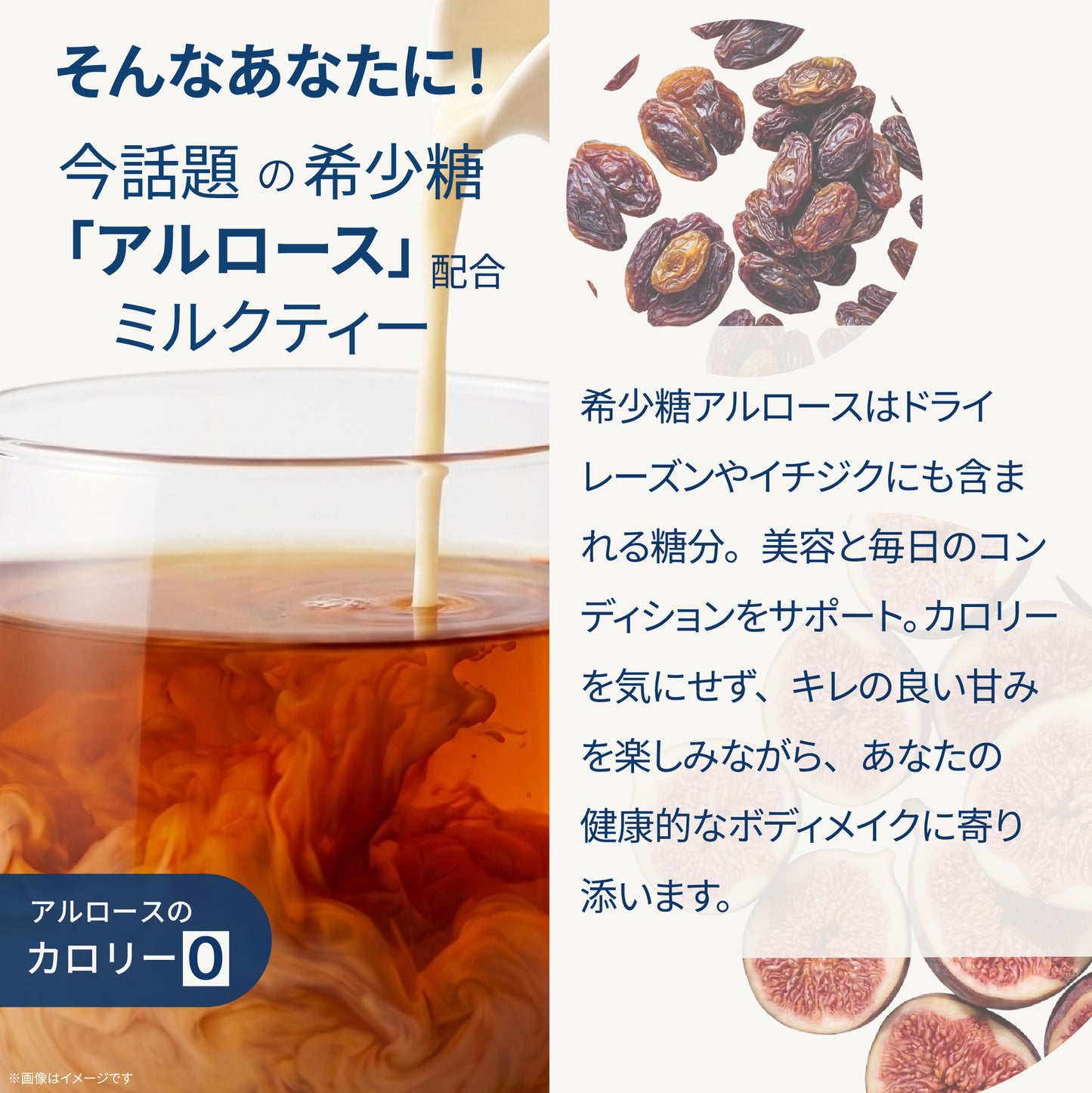 美容サポート成分 F&W ミルクティー 373g 約30食分 エラグ酸 MCTパウダー アルロース