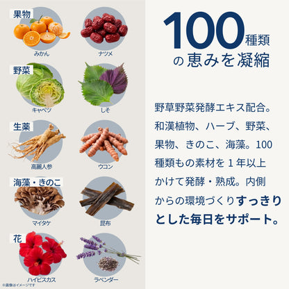 美容サポート成分 F&W ミルクティー 373g 約30食分 エラグ酸 MCTパウダー アルロース