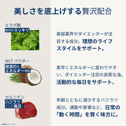 美容サポート成分 F&W ミルクティー 373g 約30食分 エラグ酸 MCTパウダー アルロース