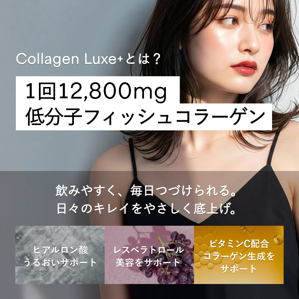 fw-coll-290-mb – F&W JAPAN OFFICIAL ONLINE STORE